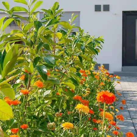 Apartmán Elena Tettnang