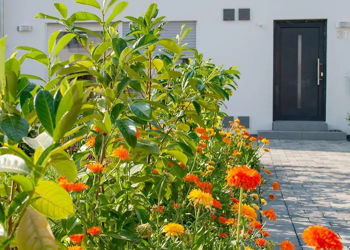 Апартаменты Elena Тетнанг